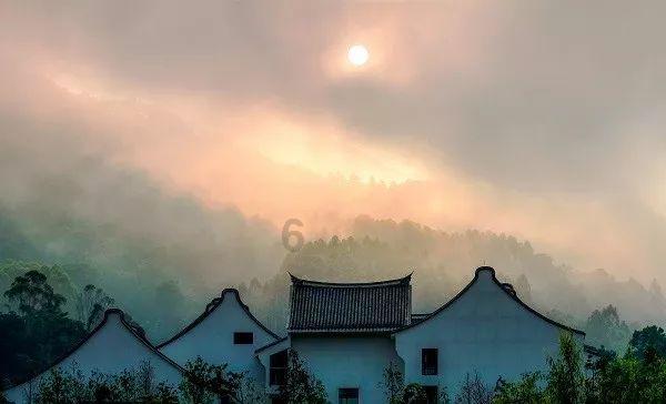 天上掉下个小猪猪