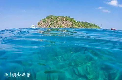 春雨直播app