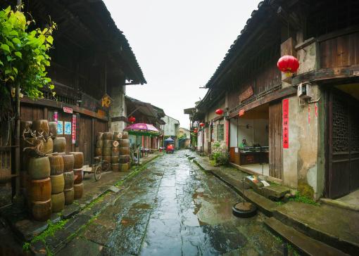 破碎的动物图形3