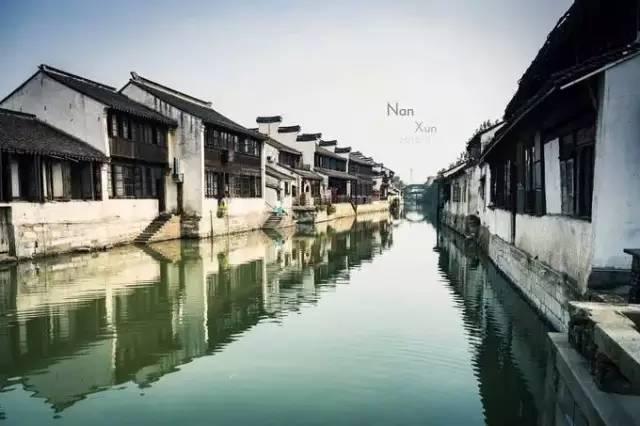 救援淘气的小狗