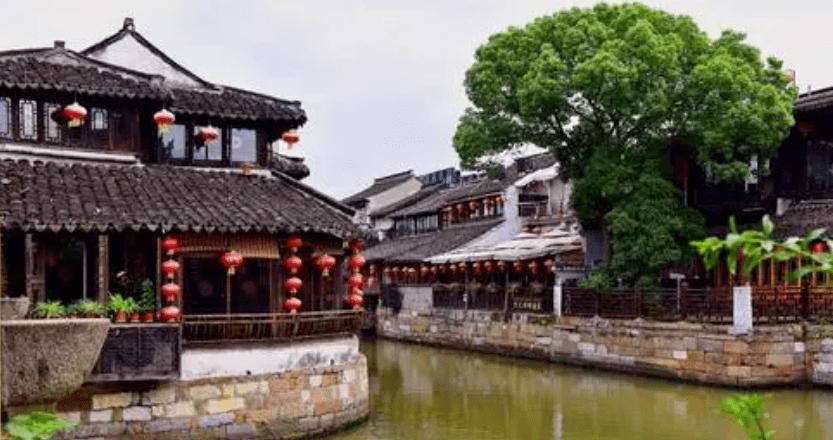 植物大战僵尸16
